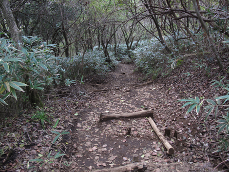 20181025hike (166)